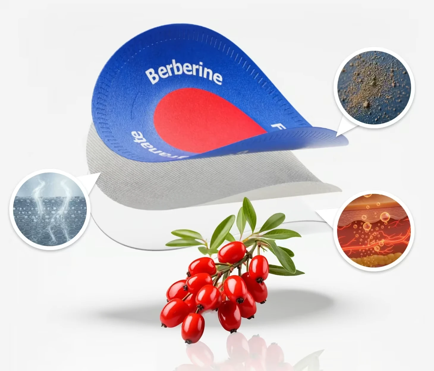Purisaki Berberine